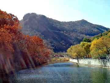 新澳天天开奖资料大全旅游团，东北碗装麻辣烫配方